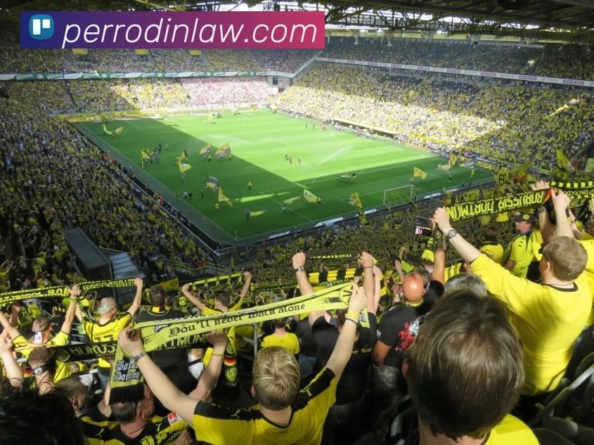 登录器
